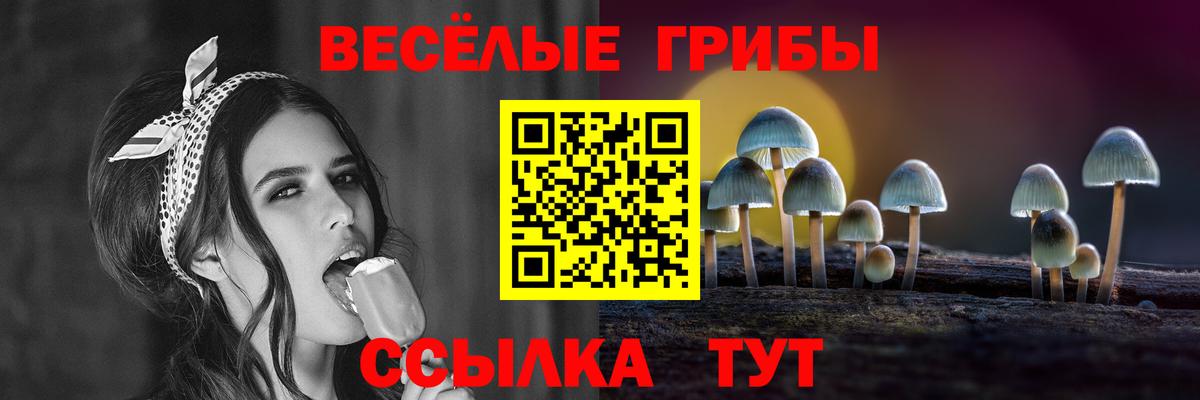 Урай  Псилоцибиновые грибы мицелий  Вход с VPN 